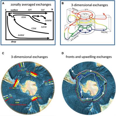 Global Connectivity of Southern Ocean Ecosystems